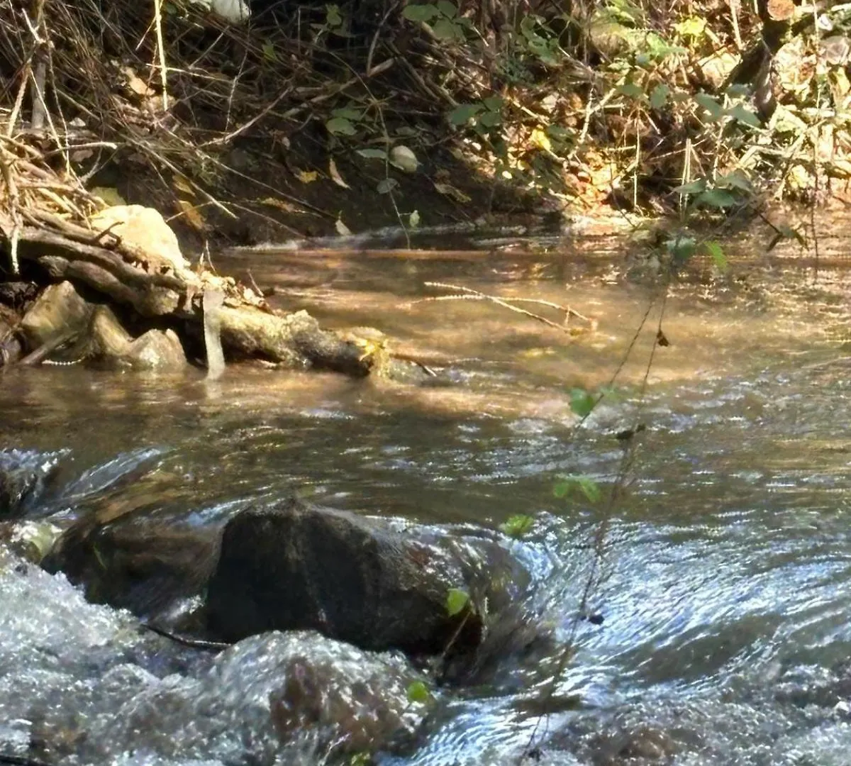 Apartamento El Rincon De Las Higueras El Bosque España