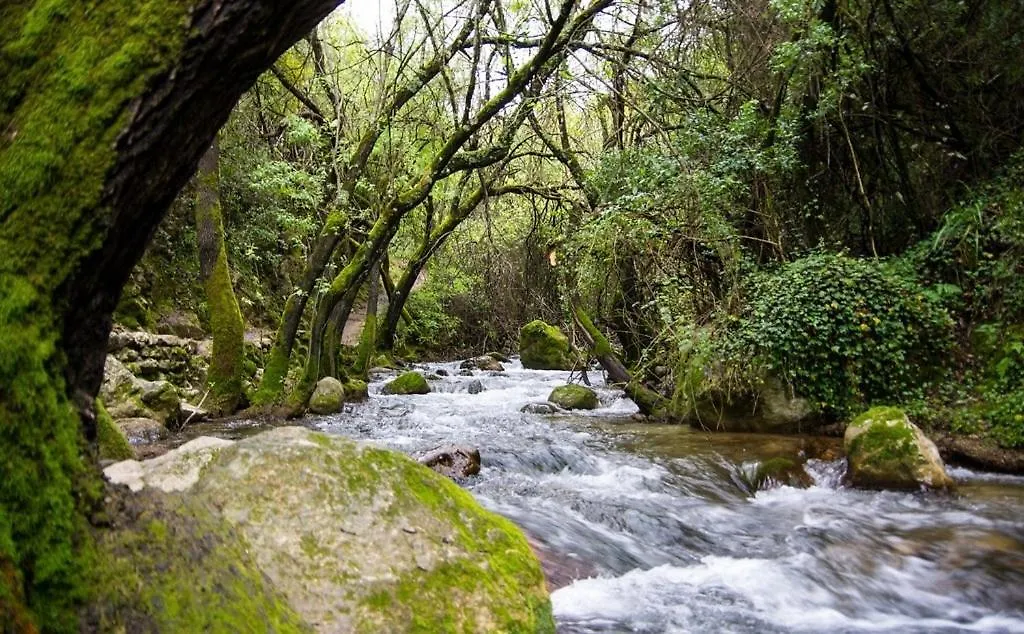 El Rincon De Las Higueras El Bosque 0*,  España