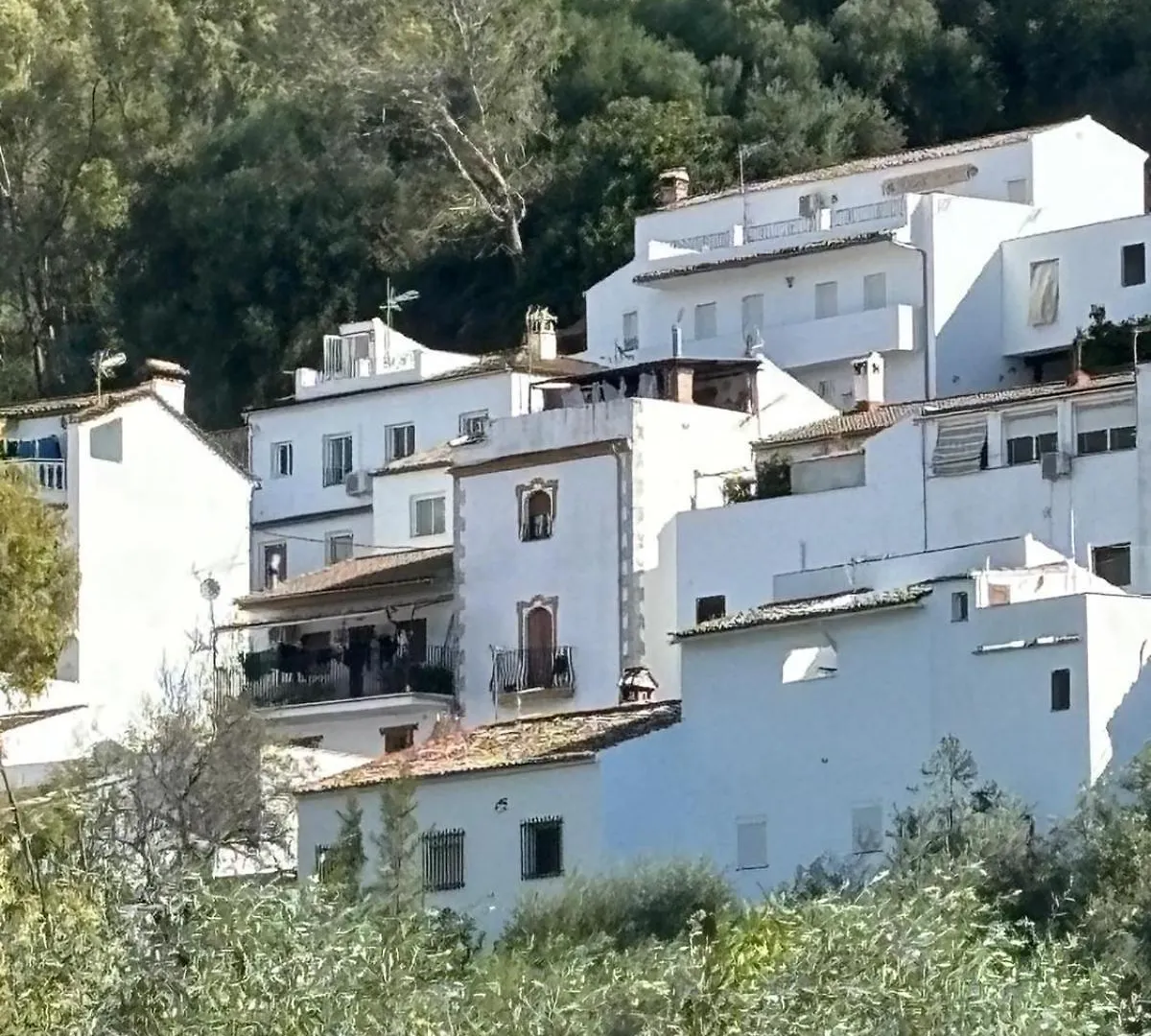 El Rincon De Las Higueras El Bosque