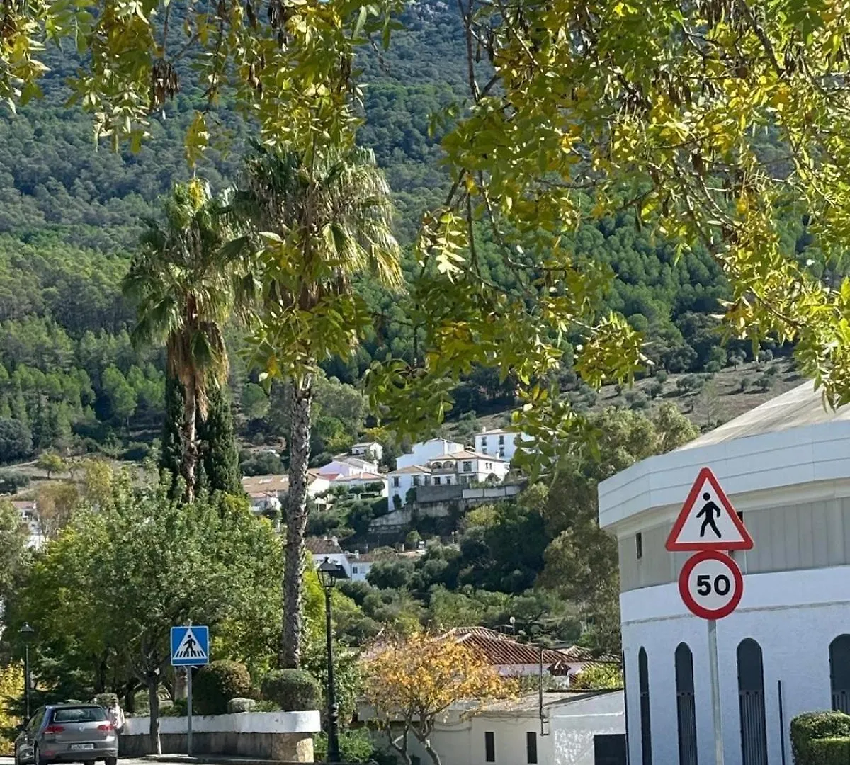 El Rincon De Las Higueras El Bosque 0*,