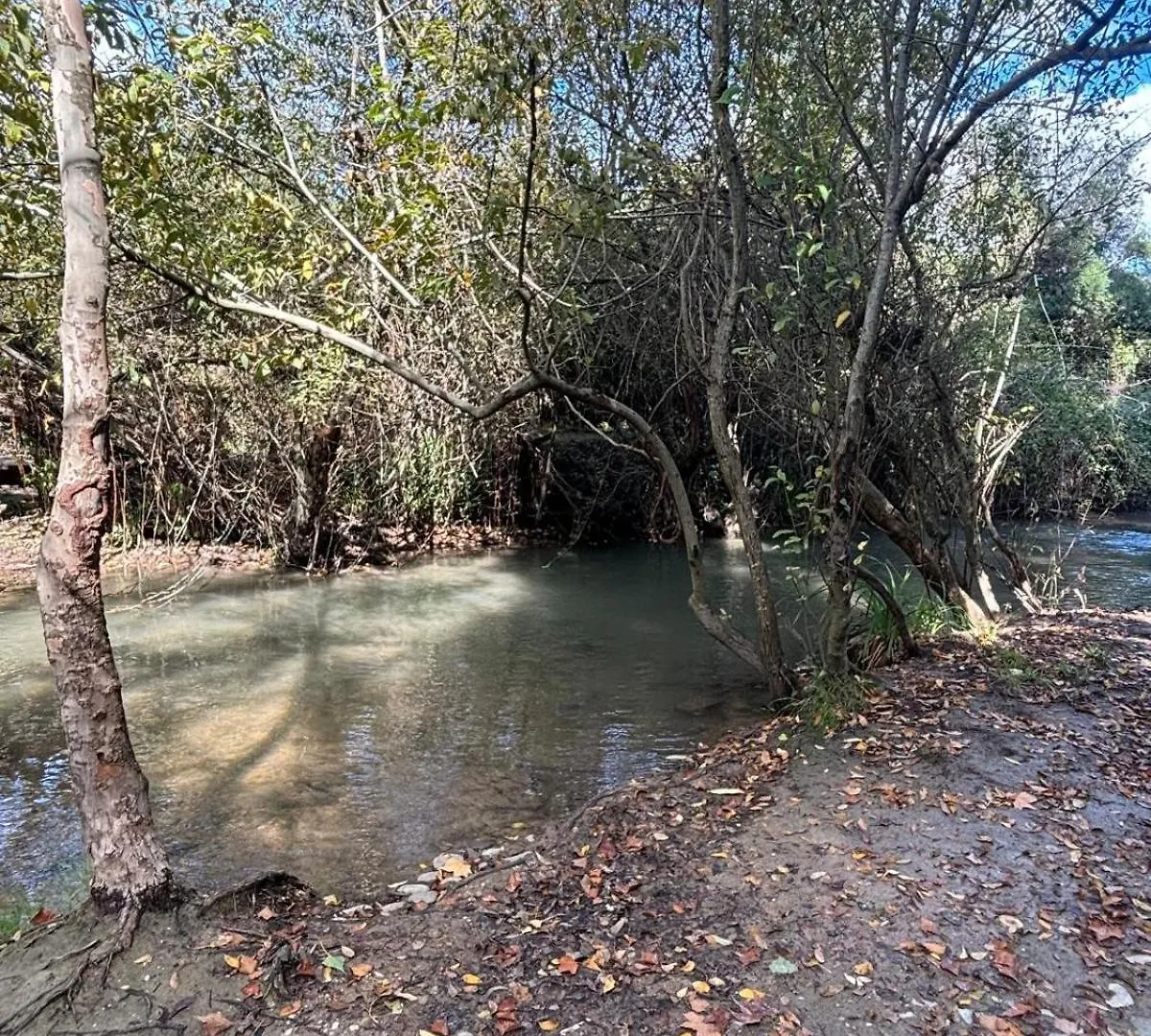 El Rincon De Las Higueras El Bosque