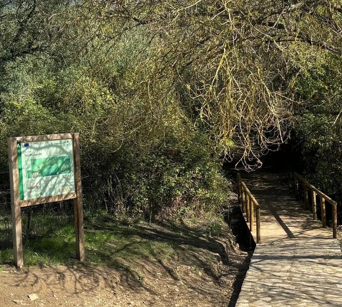 El Rincon De Las Higueras El Bosque